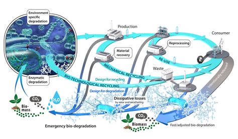 Possibilities and limitations of biotechnological plastic  .